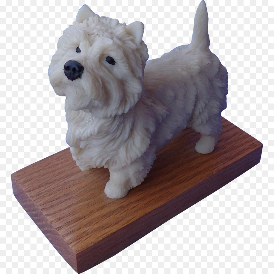 Norwich Terrier，West Highland White Terrier PNG