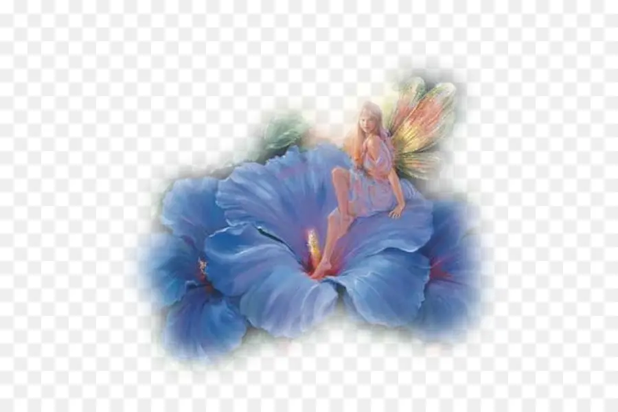 Fée，Fleur PNG