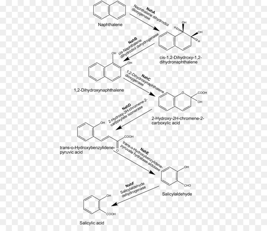 Le Naphtalène，Hydrocarbures Aromatiques Polycycliques PNG