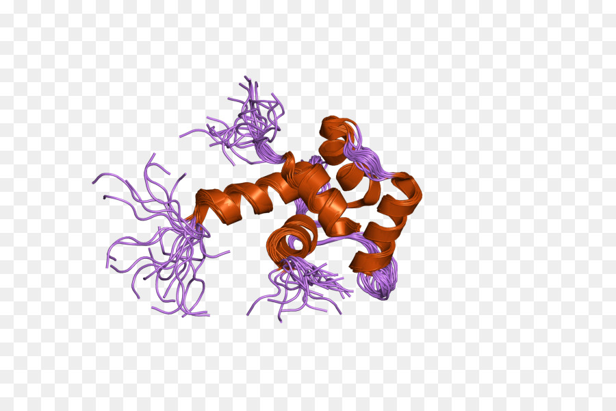 Structure Des Protéines，Molécule PNG