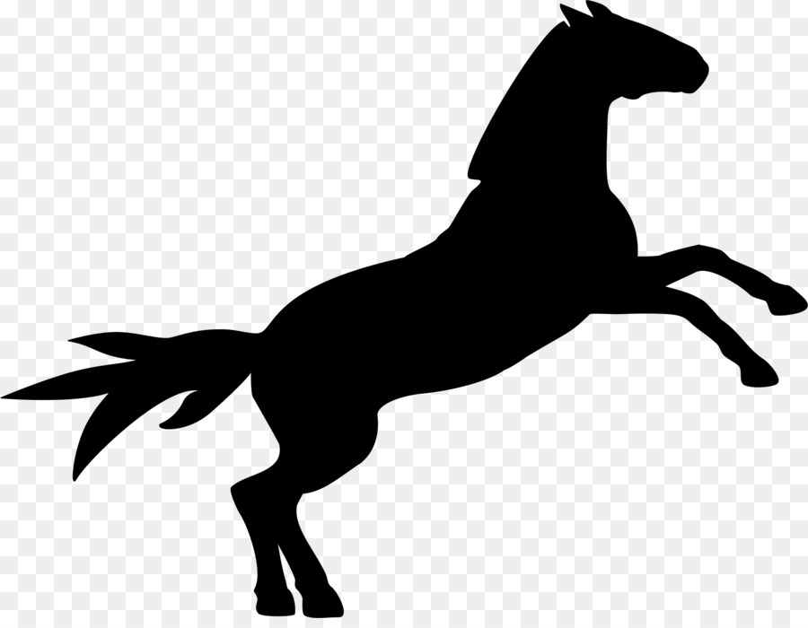 Cheval Noir，Silhouette PNG