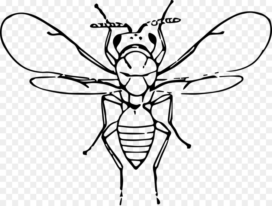 Abeille，Ailes PNG