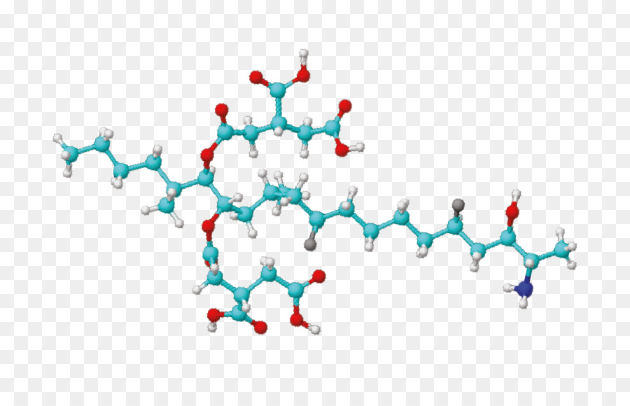 Structure Moléculaire，Molécule PNG