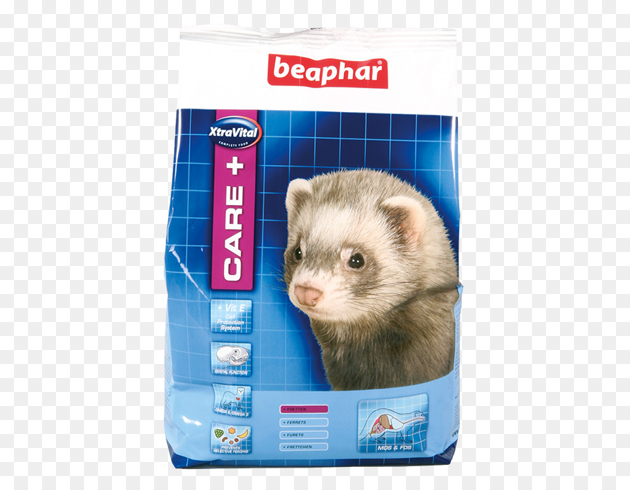 Furet，Les Belettes PNG