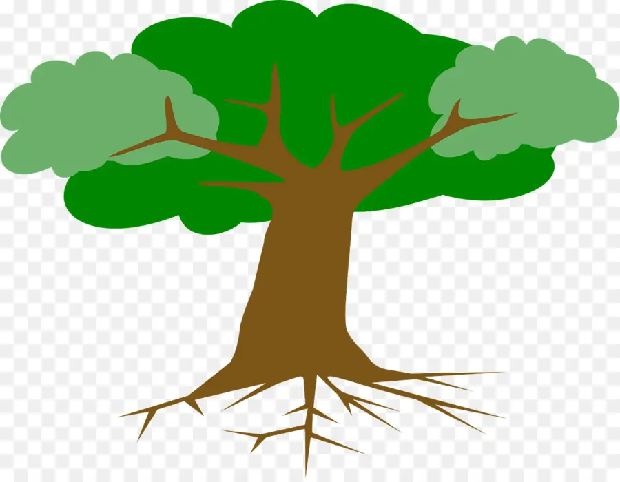 Arbre，Usine PNG