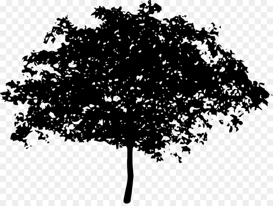 Silhouette D'arbre，Feuilles PNG