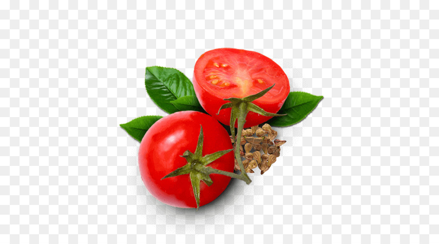 Tomate，Nourriture PNG