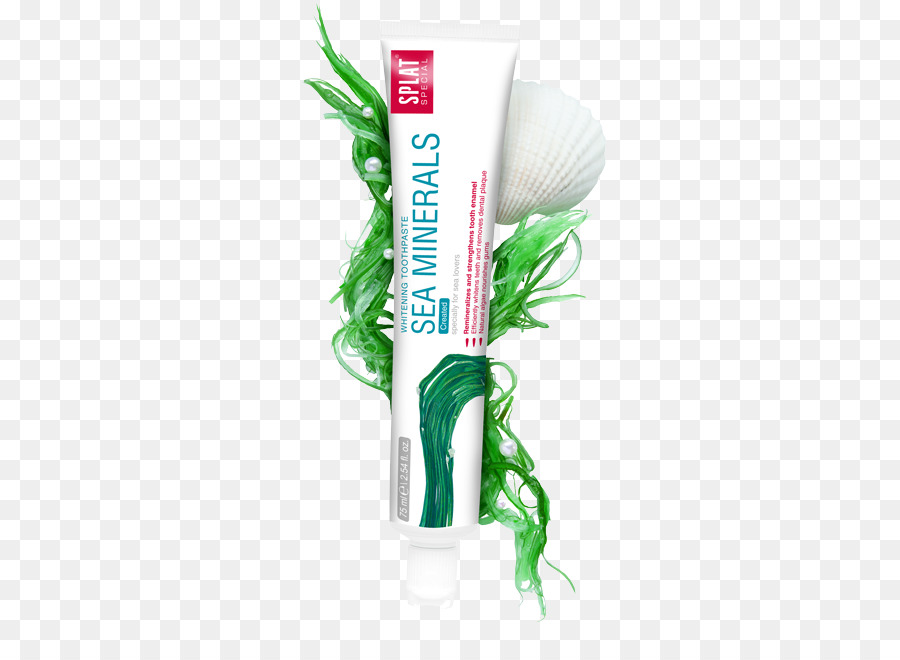 Dentifrice，L émail Des Dents PNG