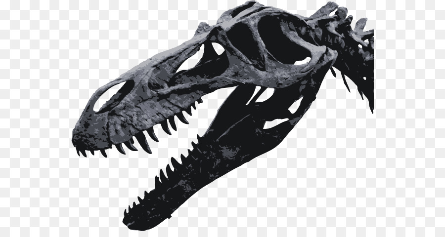 Torvosaurus，Le Tyrannosaure PNG