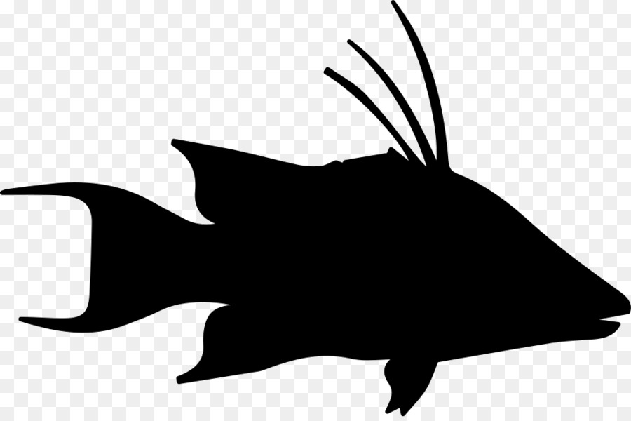 Silhouette De Poisson，Marin PNG