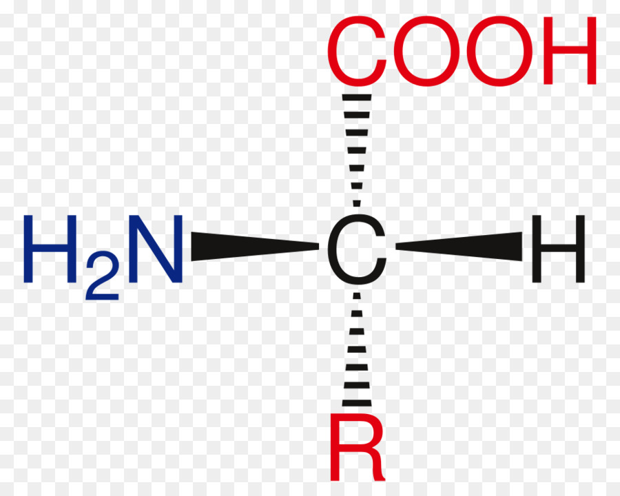 Structure Chimique，Molécule PNG