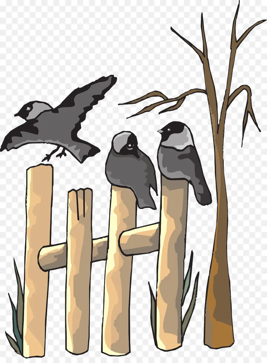 Oiseaux Sur La Clôture，Clôture PNG