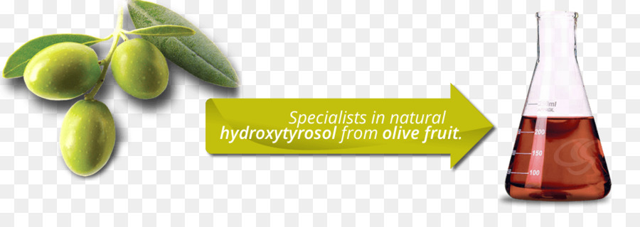 L Huile D Olive，L Hydroxytyrosol PNG