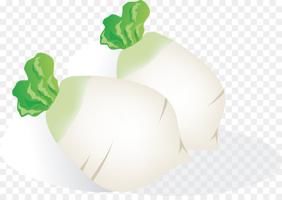 Légumes，Daikon PNG