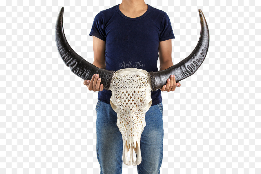 Crâne Sculpté Avec Des Cornes，Os PNG