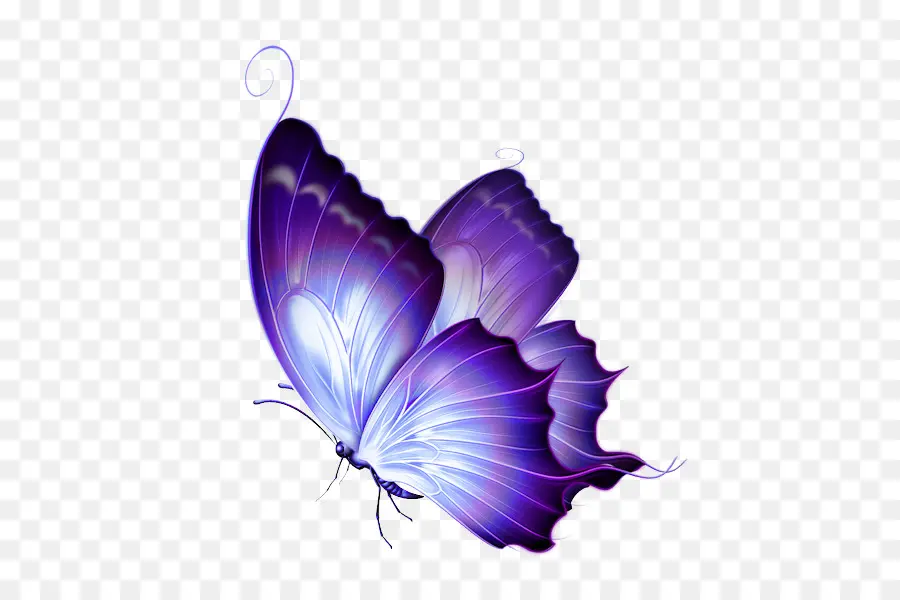 Papillon，Papillon De Jardinage PNG