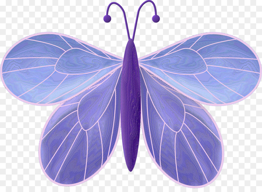 Papillon，Ailes PNG