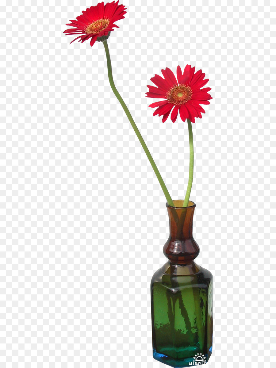 Marguerite Du Transvaal，Vase PNG