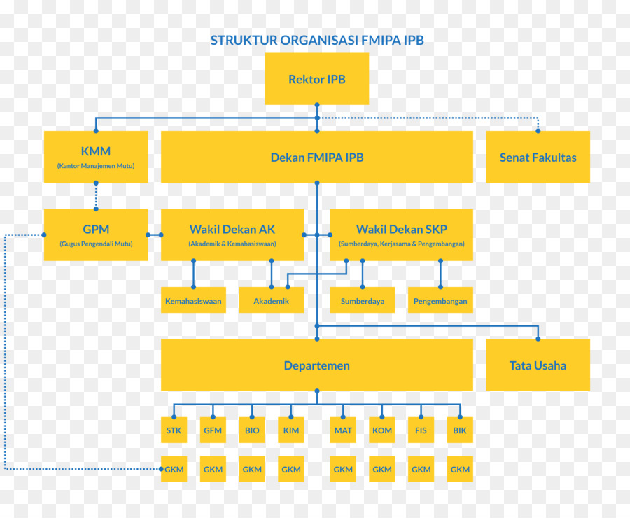 Organisation，Structure Organisationnelle PNG