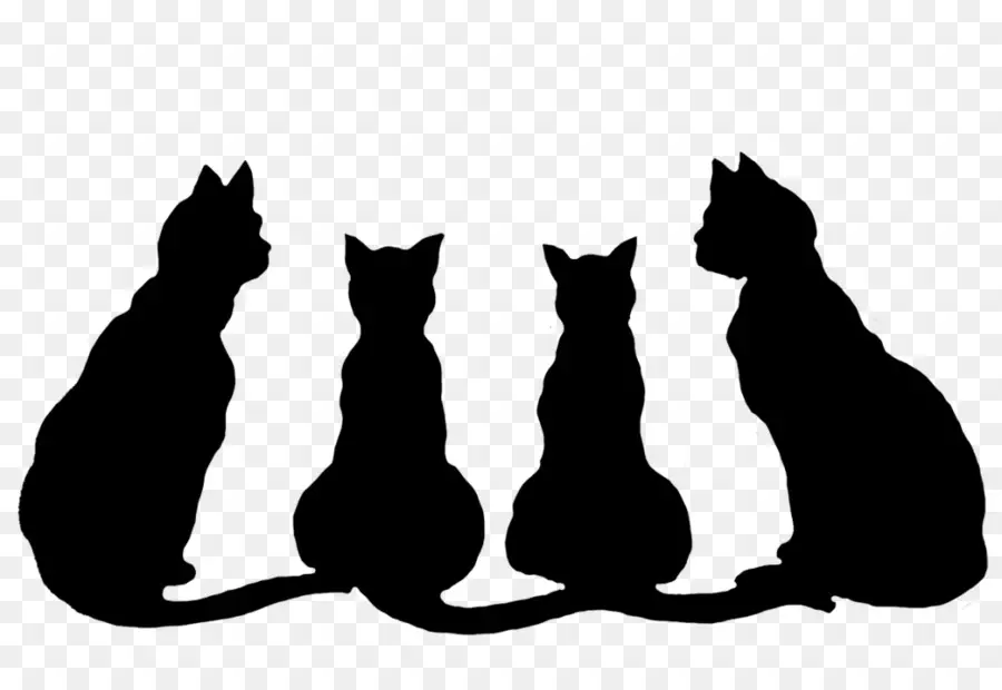 Chats Noirs，Silhouette PNG