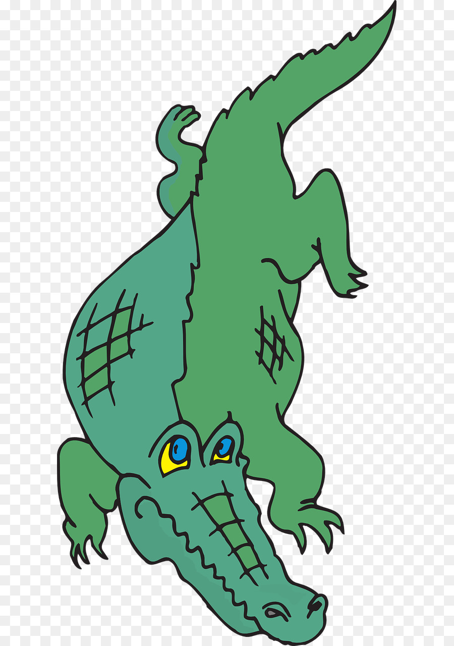 Alligator，Crocodile PNG