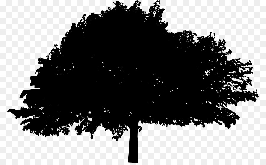 Silhouette D'arbre，Feuilles PNG