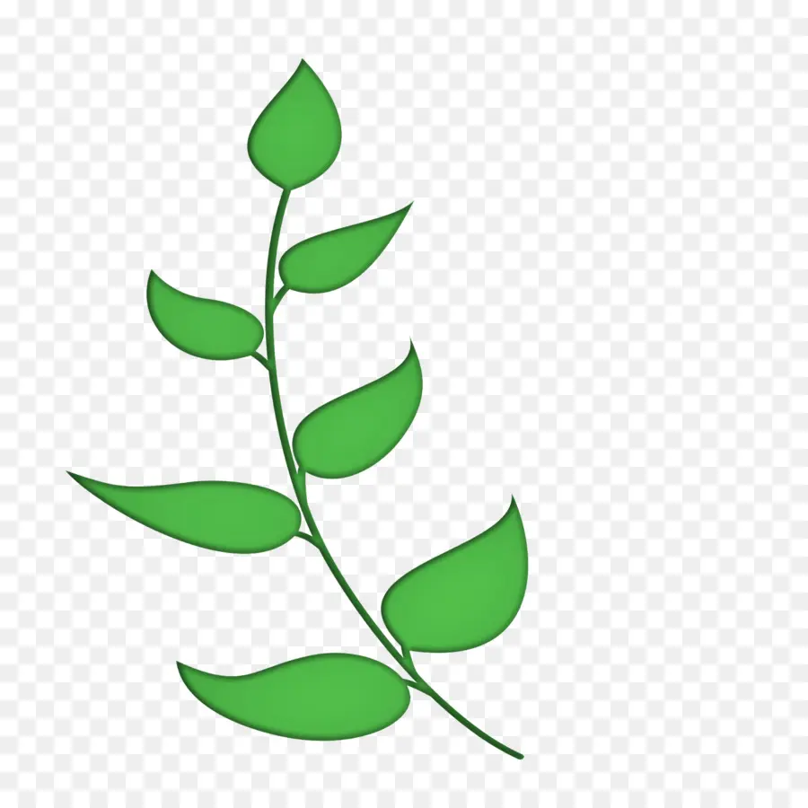 Tige De La Plante，Feuille PNG