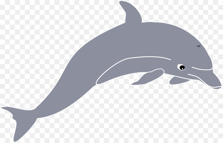 Dauphins De Dessin Animé，Marin PNG