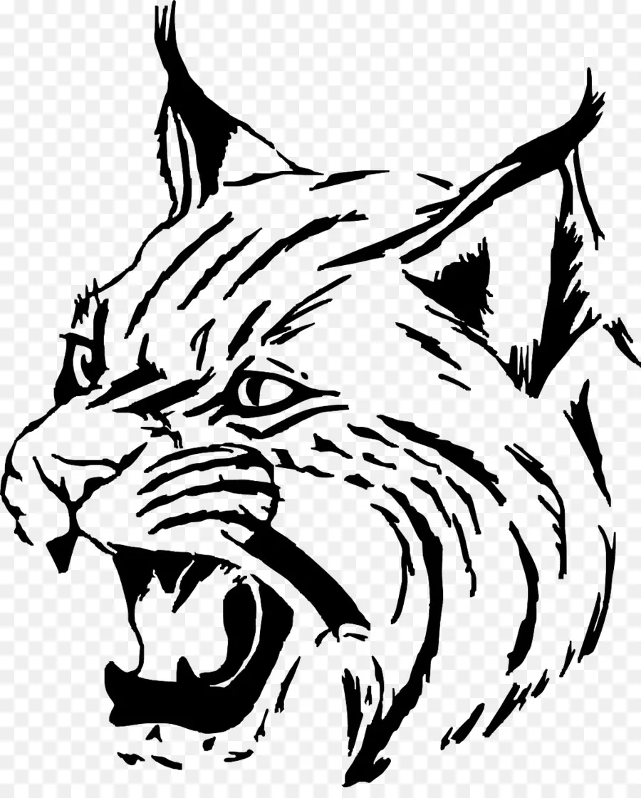 Bobcat，Dessin PNG