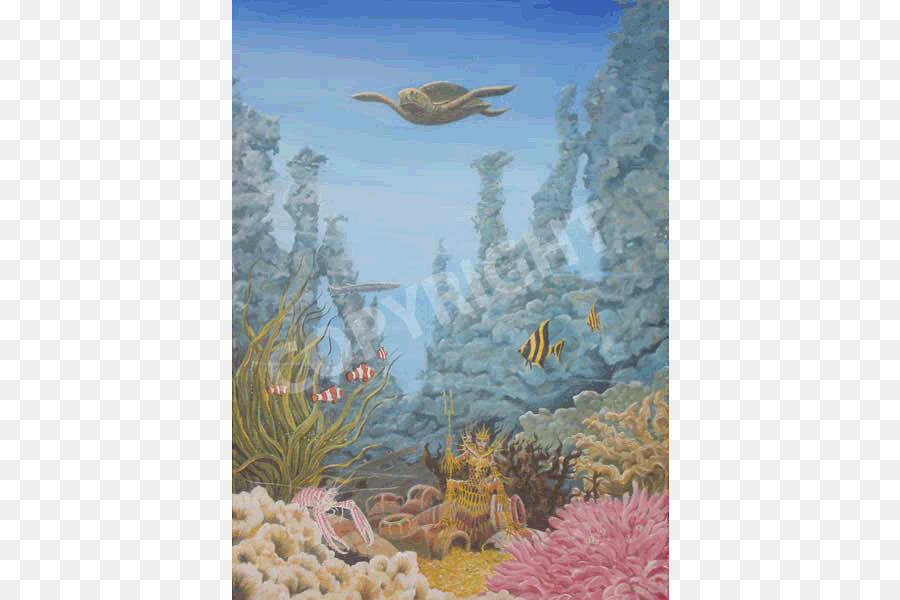 Le Récif De Corail，Biologie Marine PNG