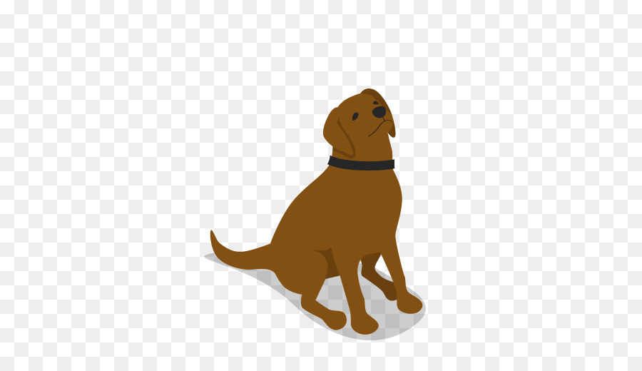 Chien Brun，Animal De Compagnie PNG