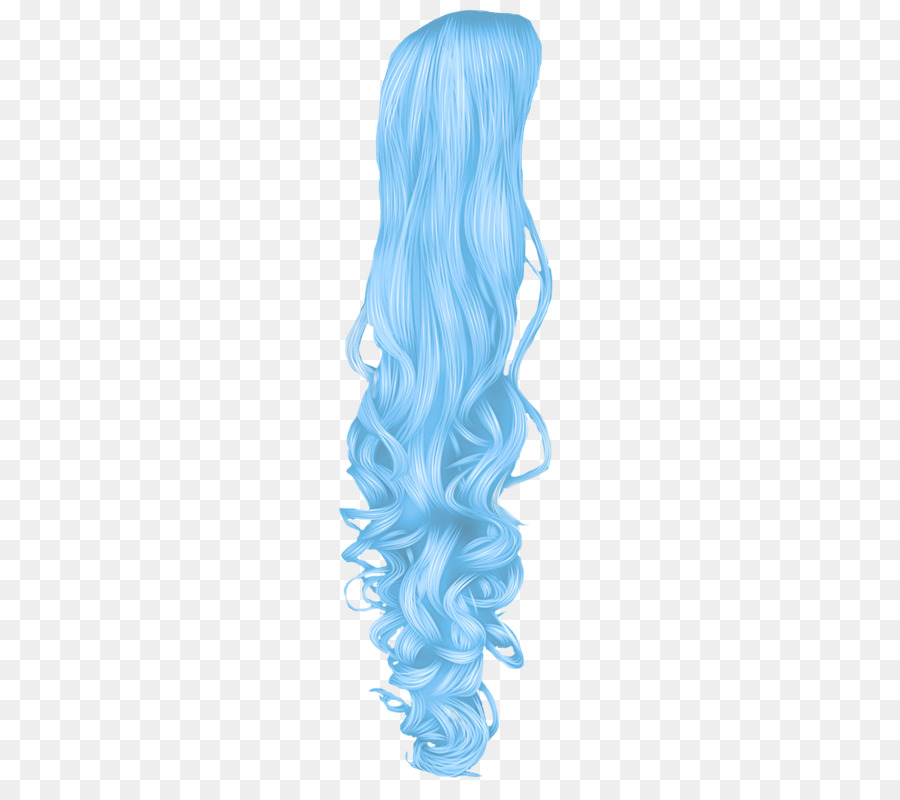 Perruque，Cheveux PNG