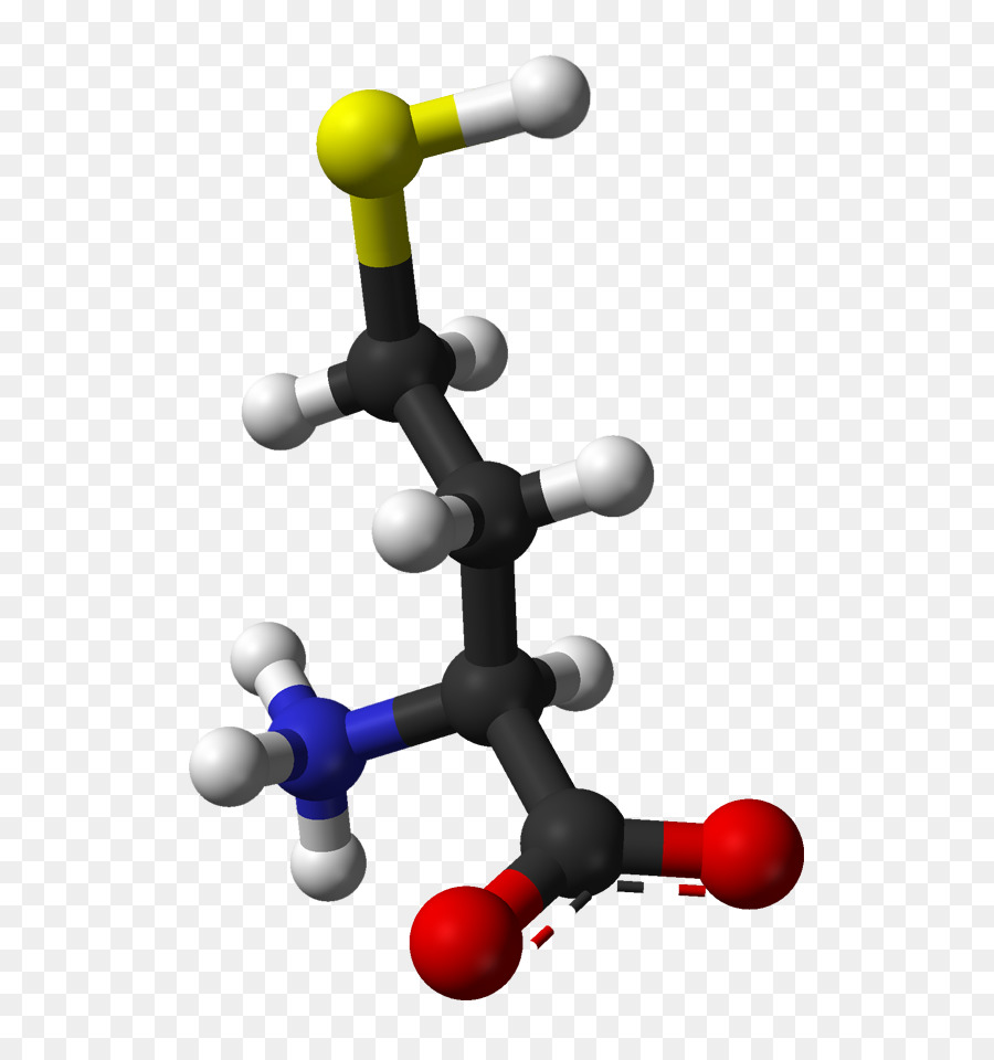 Homocystéine，Molécule PNG