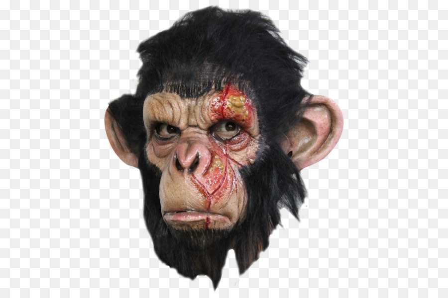 Masque De Singe，Costume PNG