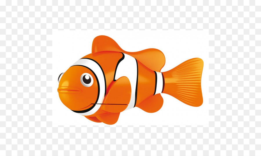 Des Poissons Clowns，Orange Poisson Clown PNG