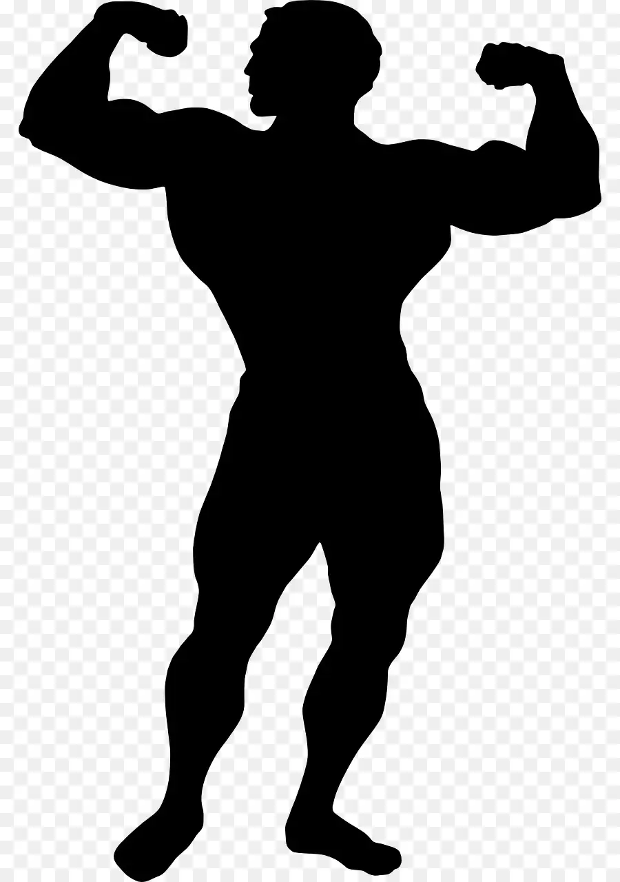 Muscle，Bras PNG