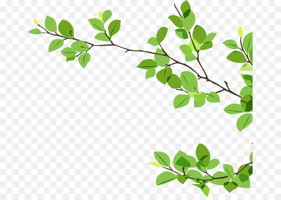 Branche，Brindille PNG