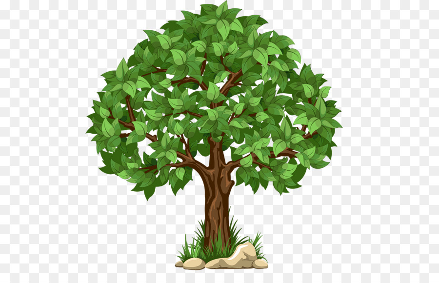 Arbre Vert，Feuilles PNG