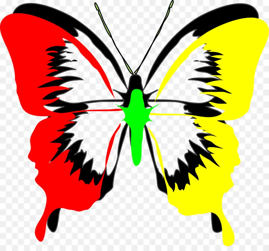 Papillon Coloré，Ailes PNG