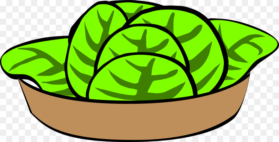 Laitue Verte，Salade PNG