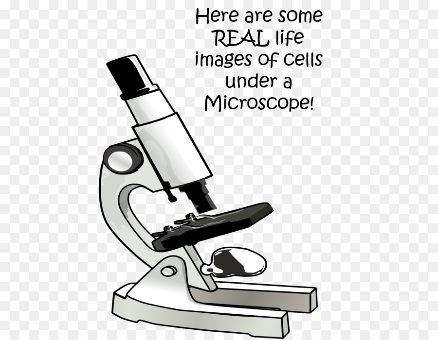 Microscope，Laboratoire PNG