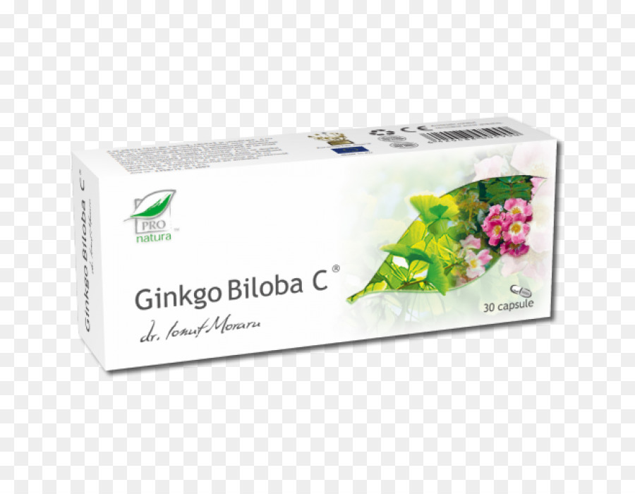 Le Ginkgo Biloba，Plante PNG