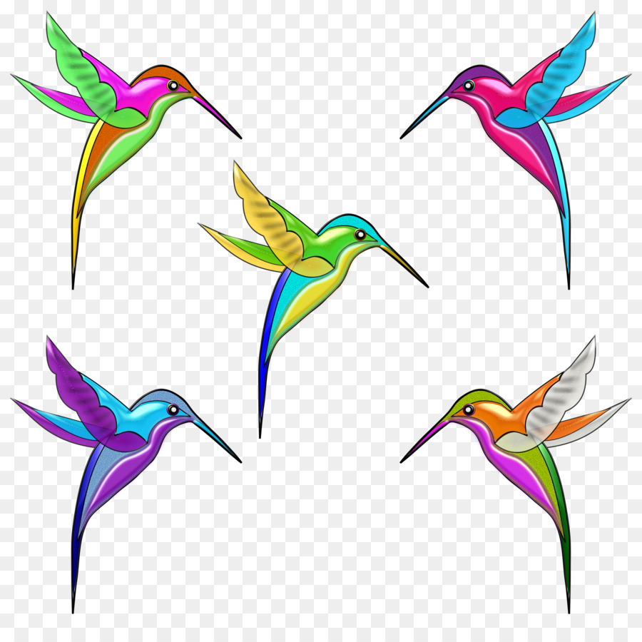 Colibri Oiseau Dessin Png Colibri Oiseau Dessin Transparentes Png Gratuit