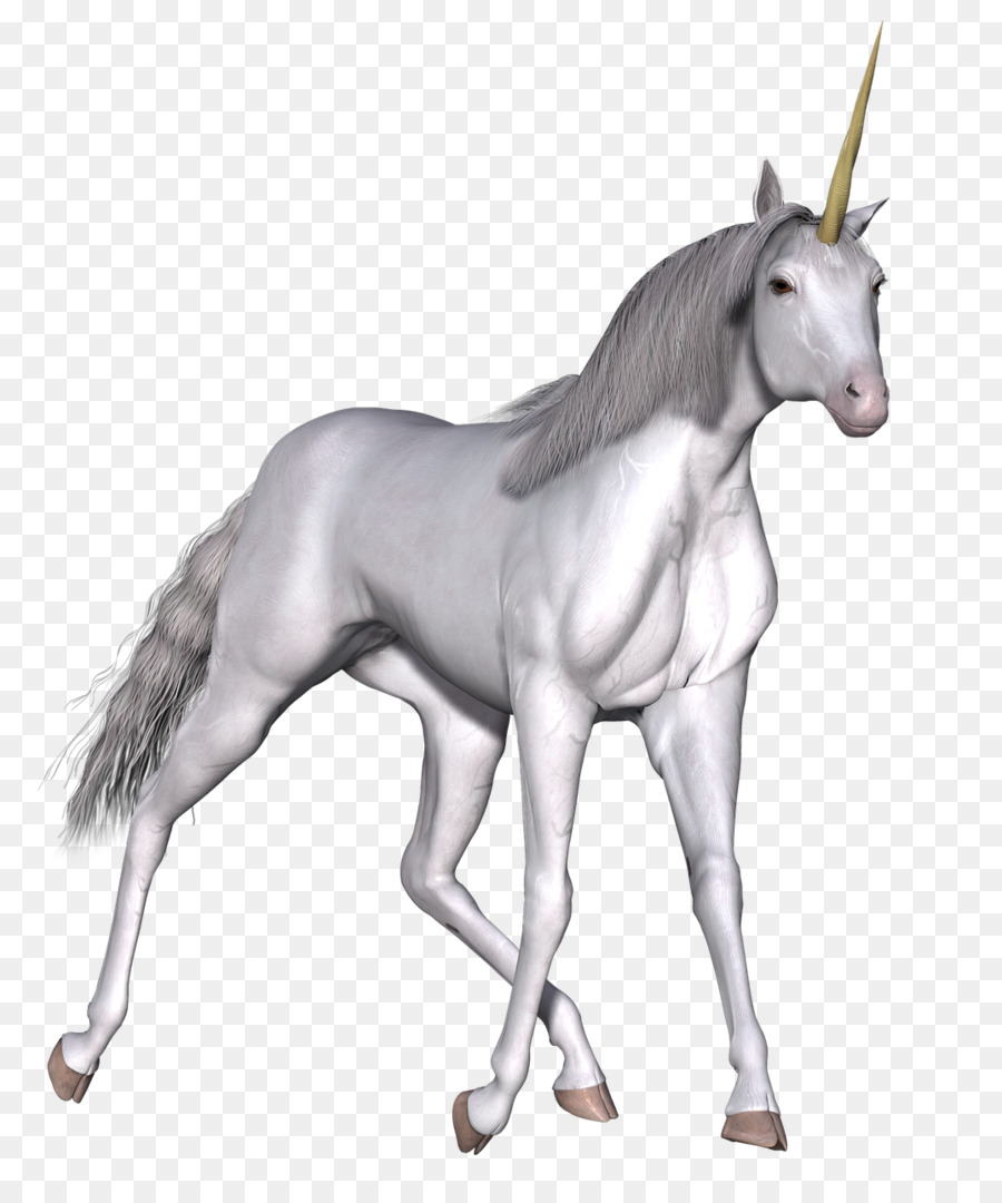 Licorne，Mythique PNG