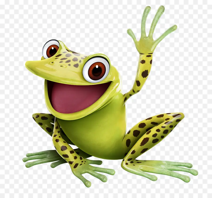 Grenouille De Dessin Animé，Amphibie PNG