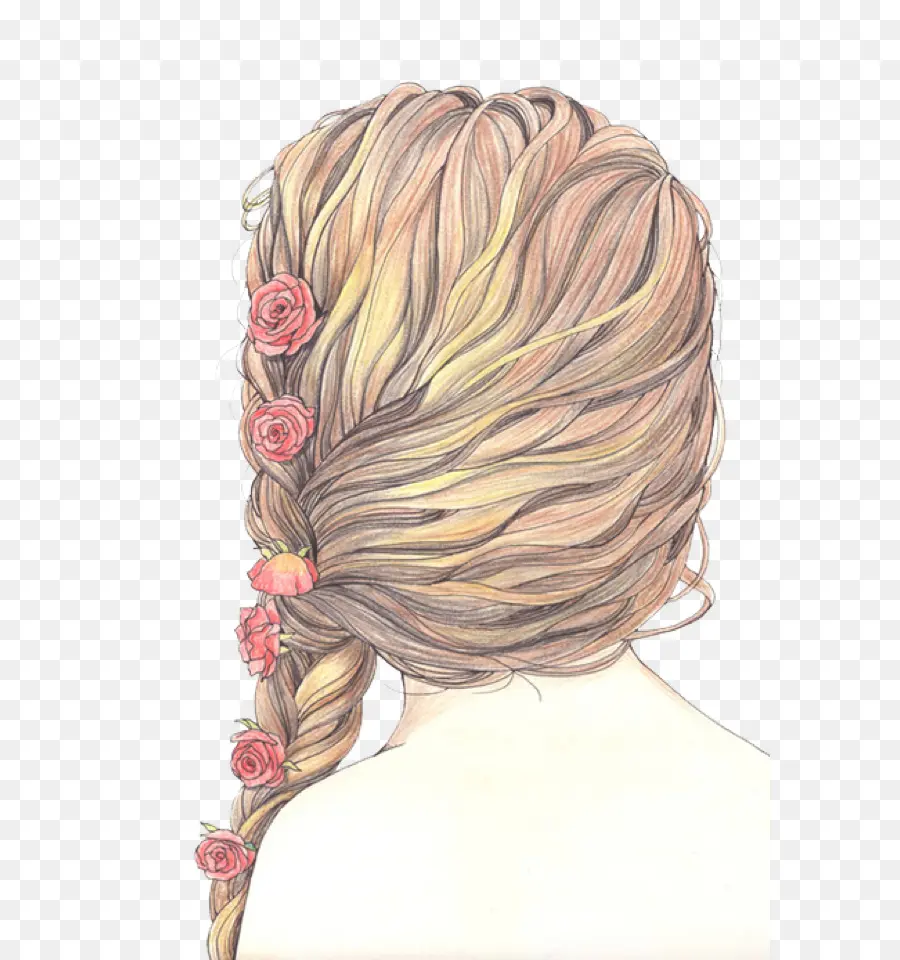 Cheveux Tressés，Cheveux PNG