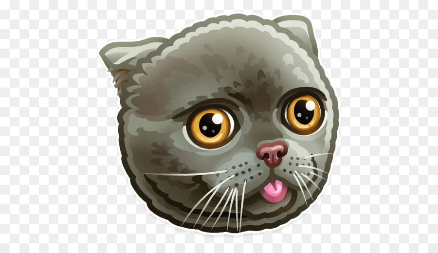 Chaton，Moustaches PNG