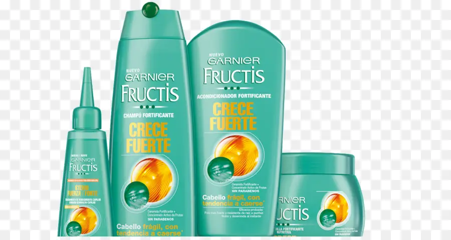 Garnier Fructis，Garnier PNG