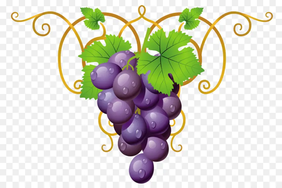 Raisins，Vigne PNG