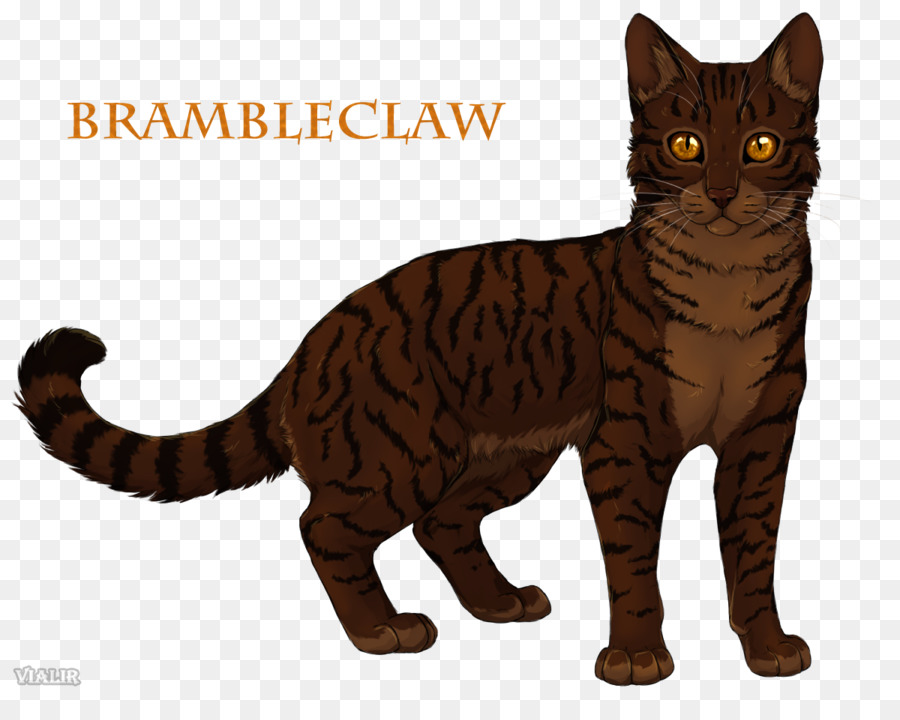 Les Guerriers，Brambleclaw PNG